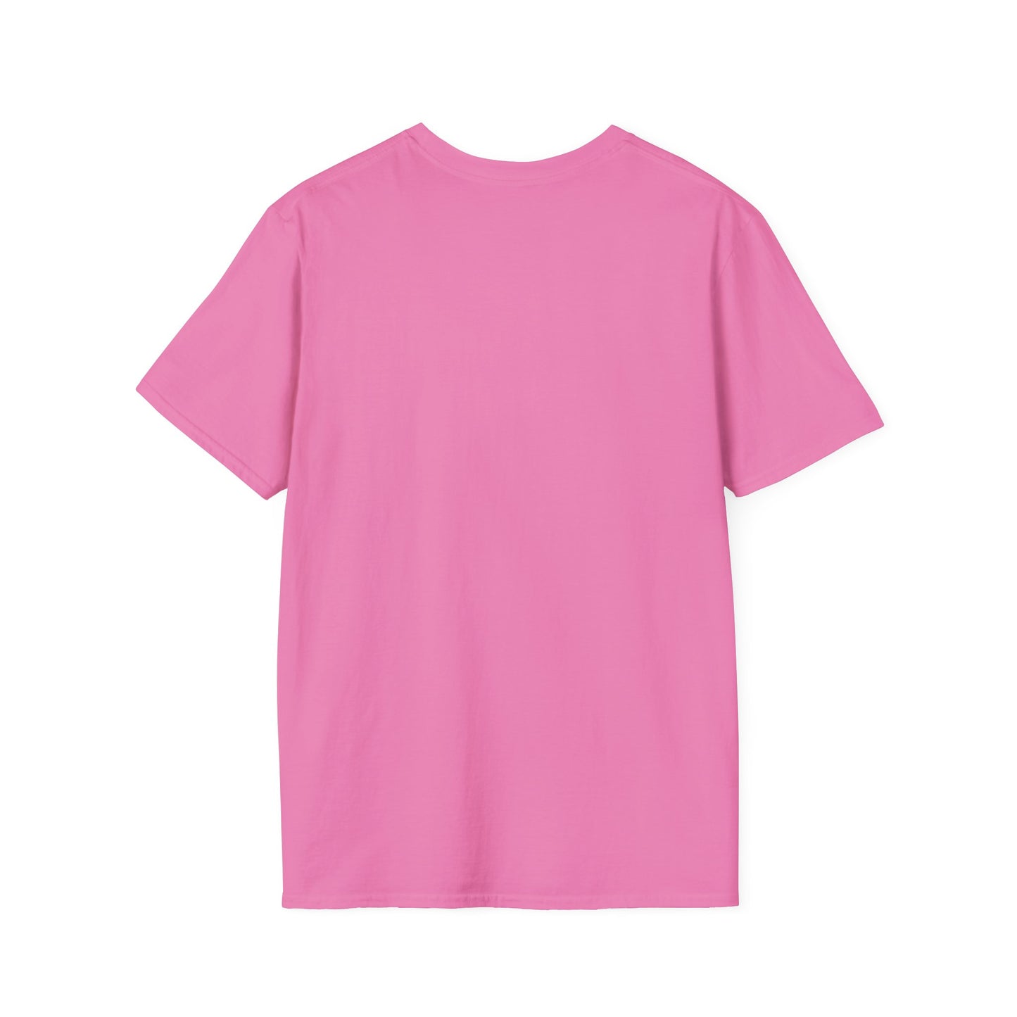 The Perfect womanUnisex Softstyle T-Shirt